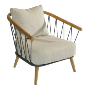 Coimbra Lounge Chair by Jan Willem van Elten (5)