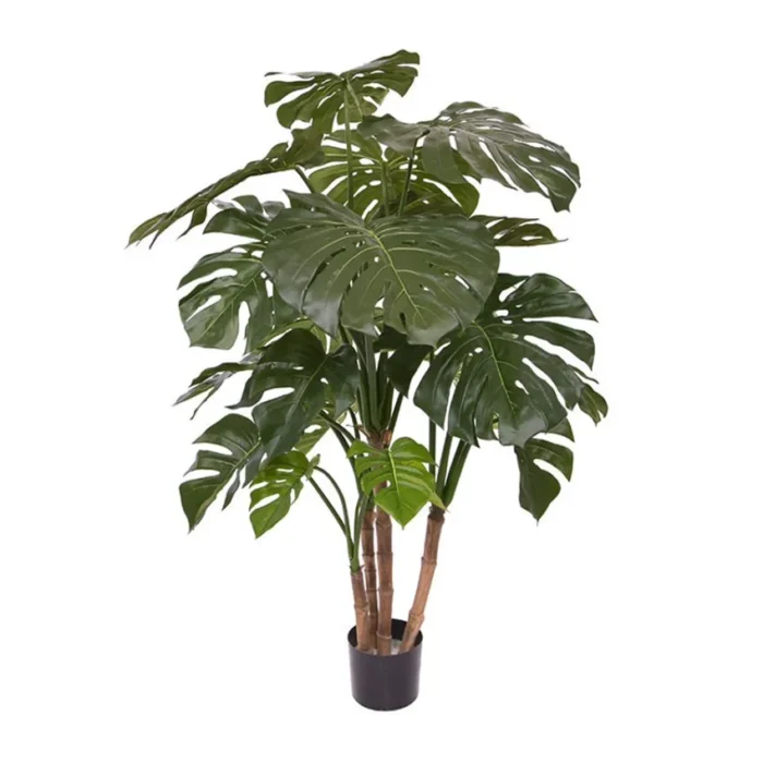 Monstera Deluxe Verde H140