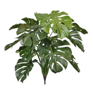 Monstera Deluxe steker Verde H75