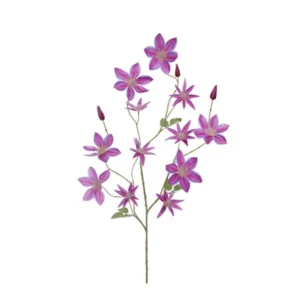 Ramura Clematis Lavender H125