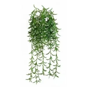 Succulent Hangplant Verde H45 (2)