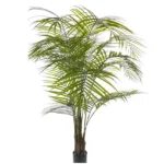 Areca palm UV Verde H175