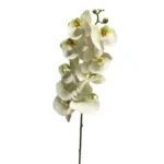 Ramura Bora Orchidee Alb H108