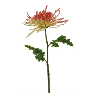 Chrysanthumum Monaco Roze H68