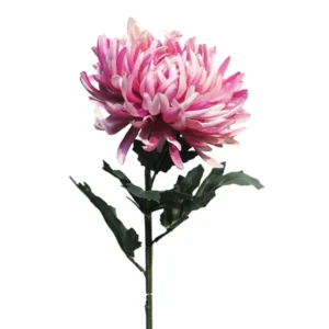 Ramura Chrysanthumum Roze H63