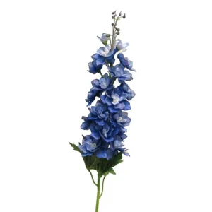 Delphinium Diva Albastru H90