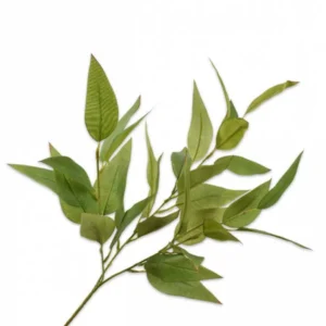 Ramura Eucalyptus Verde H68