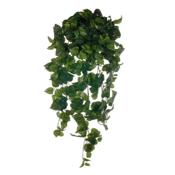 Hangplant Pothos Verde H100