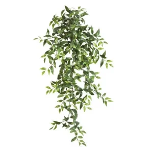 Tradescantia Hangplant Verde H105