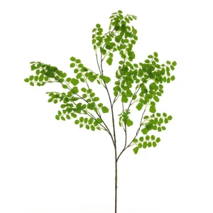 Ramura Acacia Verde H132