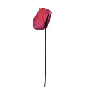 Ramura Anthurium Mov H75