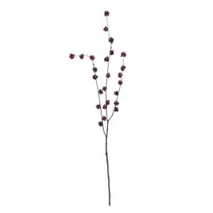 berry-branch