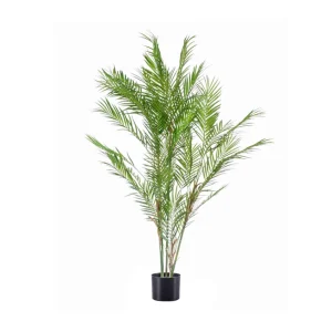 chamaedorea-palm-groen-h120