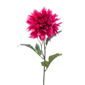 dahlia-branch ROZE