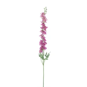 Delphinium Akana Roze H125