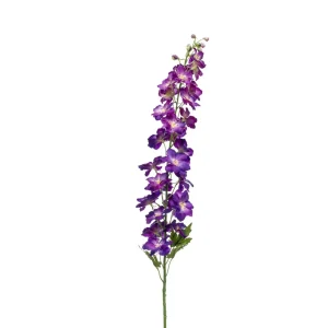 delphinium-paars-h128