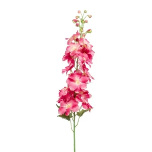 Delphinium Spray Roze H95