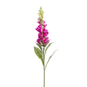 digitalis-branch R