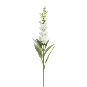 digitalis-tak-creme-h92