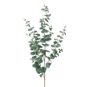 eucalyptus-branch