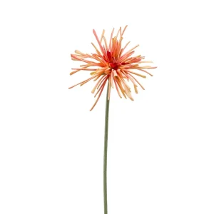 gerbera-spider-branch