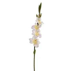 Ramura Gladiolus Crem/Galben H85