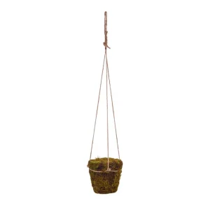 Hangende Mospot Verde D12 H12 L70