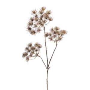 heracleum-bruin-h102