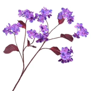 hydrangea-branch