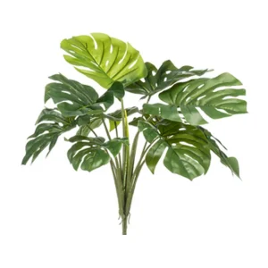 monstera-plug