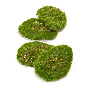 moss-plate-green