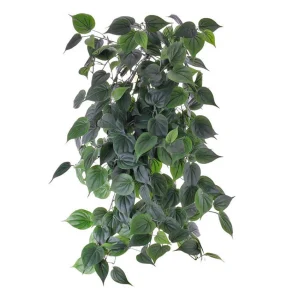 Philodendron hangplant (Brandvertragend) Verde H91