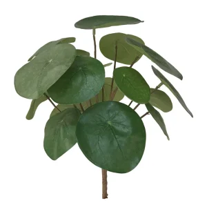 pilea-branch-plug